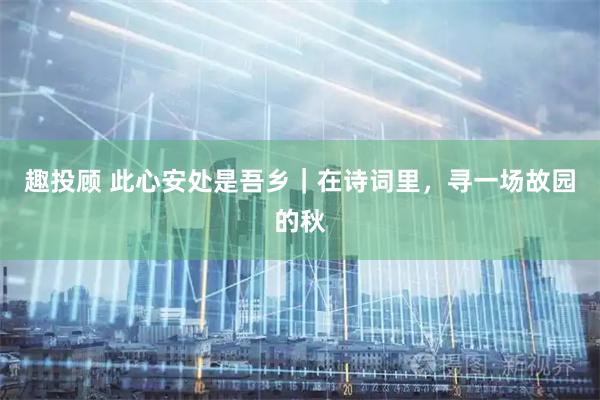 趣投顾 此心安处是吾乡｜在诗词里，寻一场故园的秋