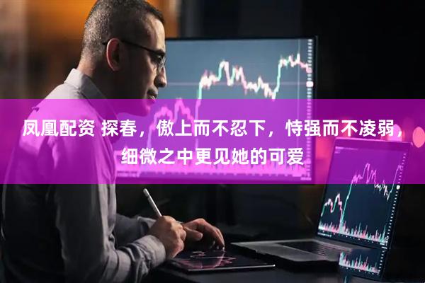 凤凰配资 探春，傲上而不忍下，恃强而不凌弱，细微之中更见她的可爱