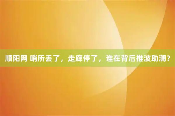 顺阳网 哨所丢了，走廊停了，谁在背后推波助澜？
