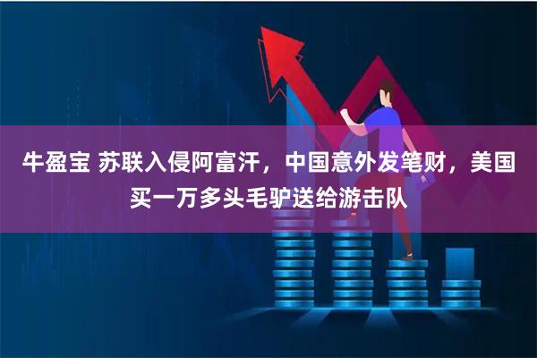 牛盈宝 苏联入侵阿富汗，中国意外发笔财，美国买一万多头毛驴送给游击队