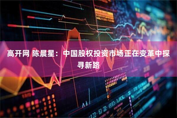 高开网 陈晨星：中国股权投资市场正在变革中探寻新路