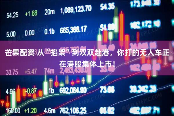 芒果配资 从“掐架”到双双赴港，你打的无人车正在港股集体上市！