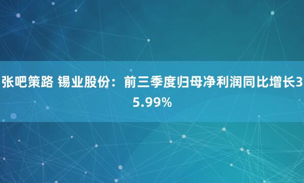 张吧策路 锡业股份：前三季度归母净利润同比增长35.99%