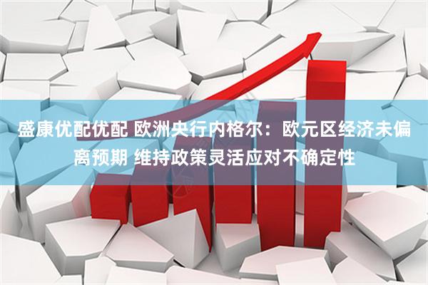 盛康优配优配 欧洲央行内格尔：欧元区经济未偏离预期 维持政策灵活应对不确定性
