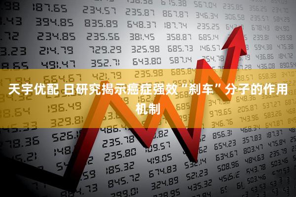 天宇优配 日研究揭示癌症强效“刹车”分子的作用机制
