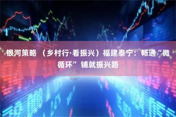 银河策略 （乡村行·看振兴）福建泰宁：畅通“微循环” 铺就振兴路