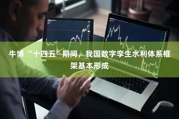 牛博 “十四五”期间，我国数字孪生水利体系框架基本形成